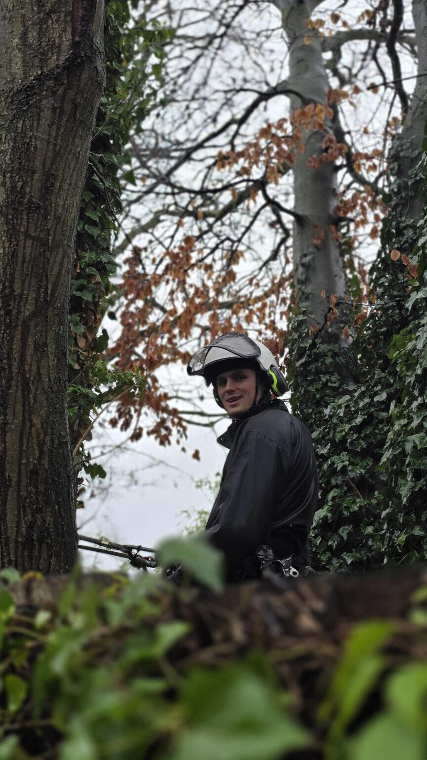 Me up a Scots Pine. Me up a Scots Pine.